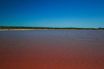 Hutt Lagoon, Pink Lake, Gregory, Kalbarri Area, West Coast, Western Australia