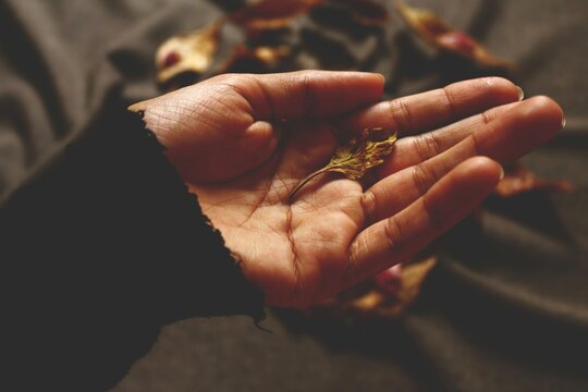 Close-up Of Hand Holding Dry Leaf During Autumn
