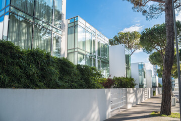 Newly built row houses along a tree lined pavement on a sunny day