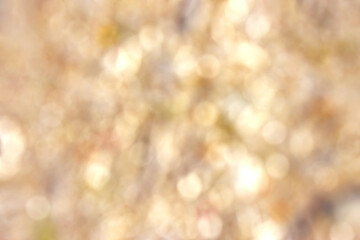 abstract bokeh background