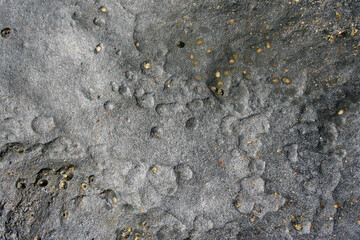 sea stone texture