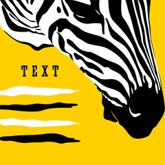Poster with head zebra on yellow background. Vector template in pop art style