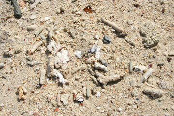coral beach sand, broken corals texture on the sea beach