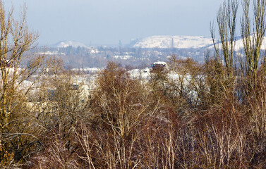 Winter urban frosty landscape - snow covered trees on foggy background