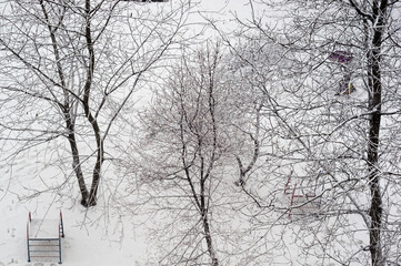 Winter urban frosty landscape - snow covered trees on foggy background
