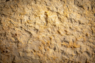 Handcarved sandstone wall closeup detail.