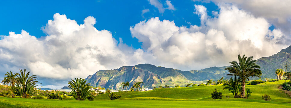 Amazing view of green lawn of a golf course with palm trees, mountains on the background. Location: Buenavista del Norte, Tenerife, Canary Islands. Artistic picture. Beauty world. Panorama