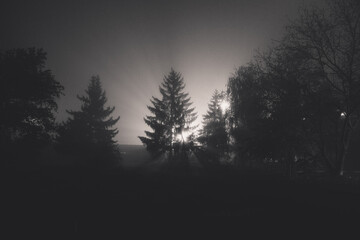 Fototapeta premium light in the night