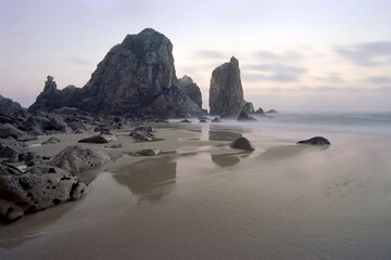 Fototapeta na wymiar Rocky beach during low tide at dusk