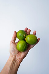Limes on hand in a bright background 