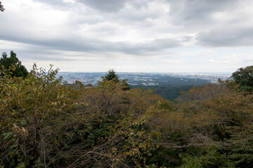 Fototapeta na wymiar 高尾山からの眺め