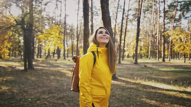 Young female is smiling and looking around while standing in autumn wood on sunny day