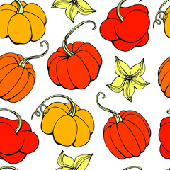 Pumpkin seamless pattern on white background. Hand drawn pumpkin vector. Pumpkin patch.template with hand-drawn graphic. Coffee flyer.