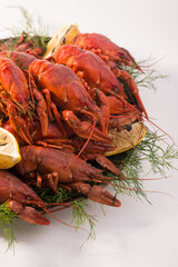 Crayfish boiled on a dish with dill spices and lemon.