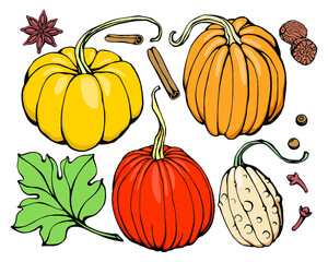 Hand drawing Pumpkin Set. Doodle pumpkins.Vector hand drawn picture of pumpkin in cartoon style. Vector cafe template with hand-drawn graphic.