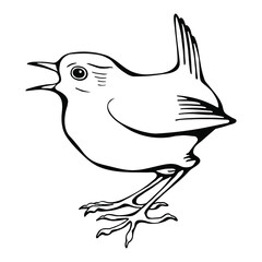 Hand drawn black and white vector of wren bird isolated on white. Festive elements for your design.