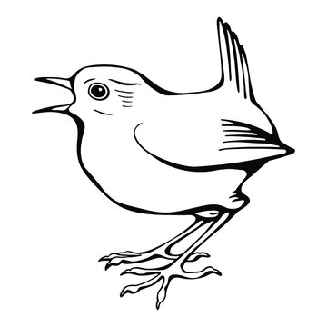 recommend clip art: Hand drawn black and white vector of wren bird isolated on white. Festive elements for your design.