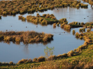 Biotop in Beeden im Saarlandes