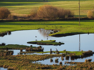 Biotop in Beeden im Saarlandes