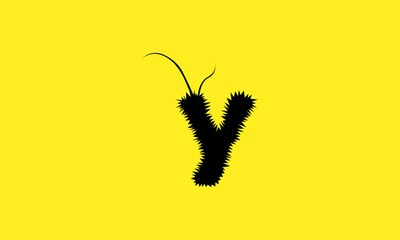 Y Logo Design 