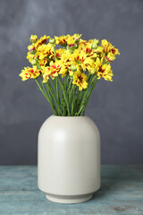 Vase with beautiful chrysanthemum flowers on light blue wooden table against grey background