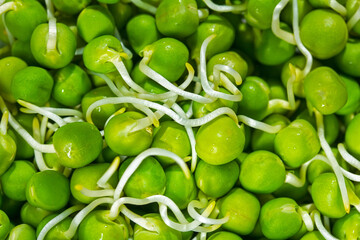 sprouted green peas, vegetarian food, macro