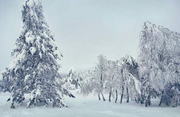 Winter landscape of the Crimean mountains