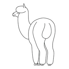 Hand drawn funny llama.  Linear drawing vector. Cute illustration for your design and for coloring books and pages.