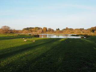 Biotop in Beeden im Saarlandes