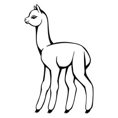 Hand drawn funny lama. Black and white drawing vector. Cute illustration for your design and coloring books and pages.