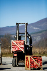 Forklift picking up pallets of firewood ready for transport
