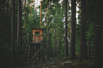 Hochsitz im Wald
