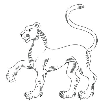 Heraldry. Hand drawn panther vector image. Black and white stock illustration for coloring books and pages.