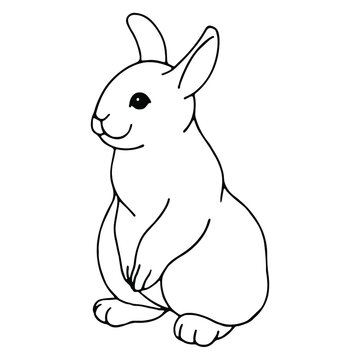 Hand drawn vector rabbit isolated on white background. Black and white stock illustration.