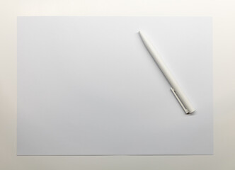 white blank paper with ball pen on table