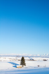 晴れた冬の日の雪原と山並み　十勝岳連峰