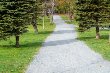 A gravel pebble footpath through a small park with a vibrant green grass lawn and tall trees on both sides of the park trail.  The evergreen trees are casting shadows across the narrow path. 
