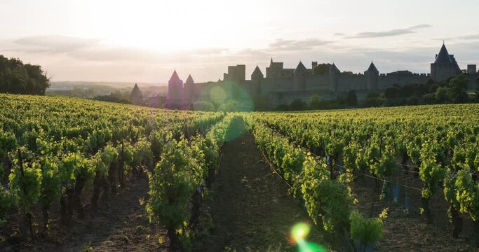 Beautiful timelapse of the Carcassonne City with a sunset, sunrise timelapse in Carcassonne in the vineyard, sunset timelapse with cloud, Timelapse with Cathar castles