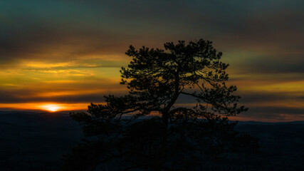 Fototapeta na wymiar Bonsai tree on the background of a beautiful sunset in the mountains
