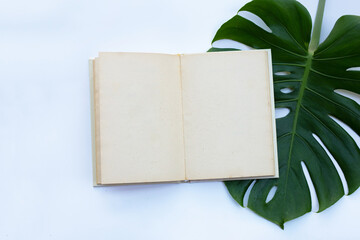 Notebook with green leaves on white background.