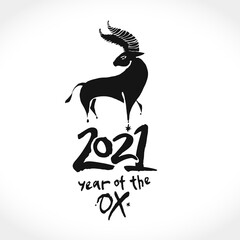 Year of the Ox 2021 vector template. Chinese New Year Greeting Card. Black brush illustration of year of the Ox.
