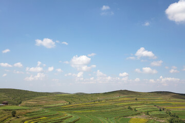 Fototapeta na wymiar Grassland scenery in northern China under blue sky and white clouds