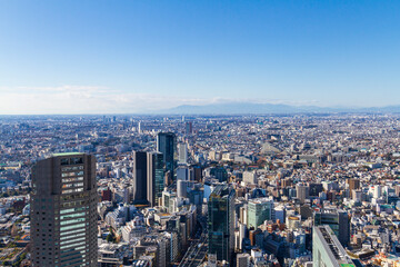 Fototapeta na wymiar Aerial View of Tokyo - View of Sangenjyaya, Setagaya