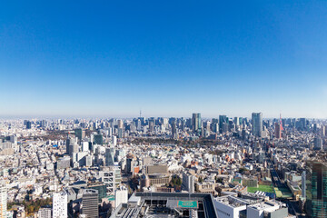  Aerial View of Tokyo - Downtown Tokyo with Tokyo Skytree and Tokyo tower