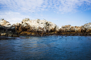 birds flying and marine fauna resting on rocks with the sunny sky over the Marcona sea