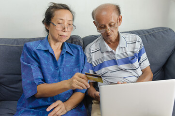 Two elderly people shopping online