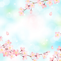 Fototapeta na wymiar 満開の桜と青空の背景素材、ベクターイラストフレーム / 正方形