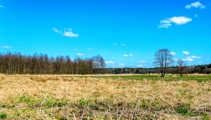 Early spring at the roar in Poland.