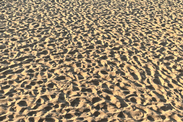 footprints on the golden beach sand