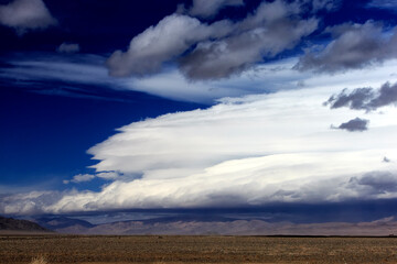 The Eastern Mongolian Steppes are home to the largest remaining intact temperate grasslands of the Earth.